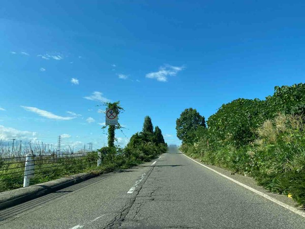 競馬場インター夜間通行止め