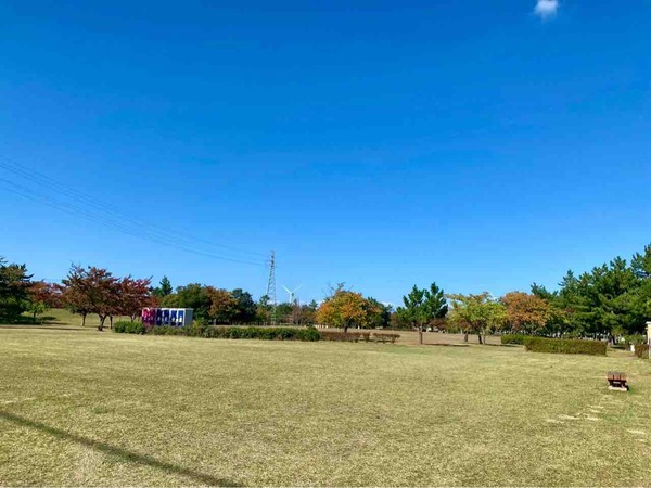 2025 ドッグスポーツフェスティバルNIIGATA