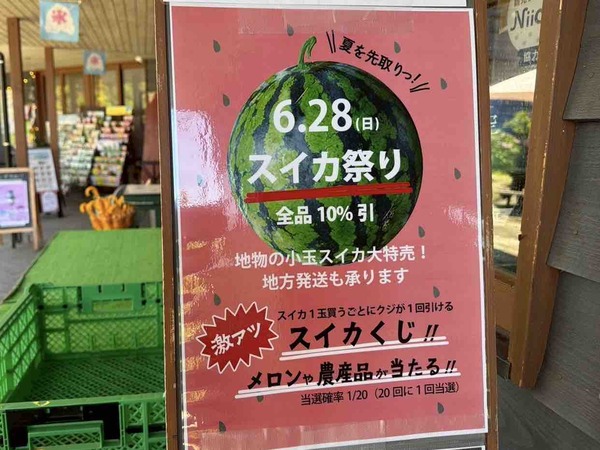スイカ祭り