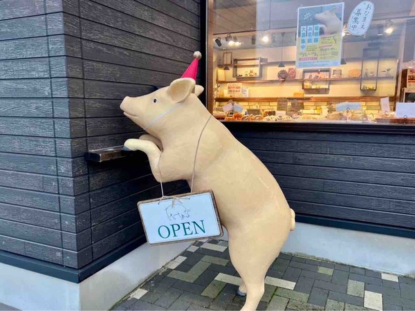 La・Cotte (ラコッテ) 豚 名前 募集