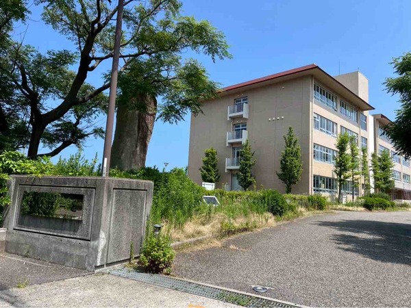 みずとつちの芸術祭