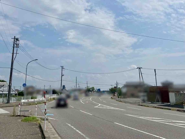 ブタシャモジ 亀貝店