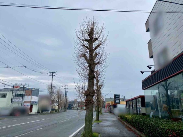 みや乃屋 大形店
