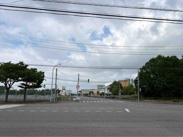 第2・3回新潟競馬