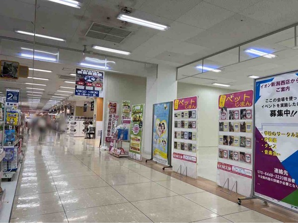 古着のヤマヒサ 古着直売会