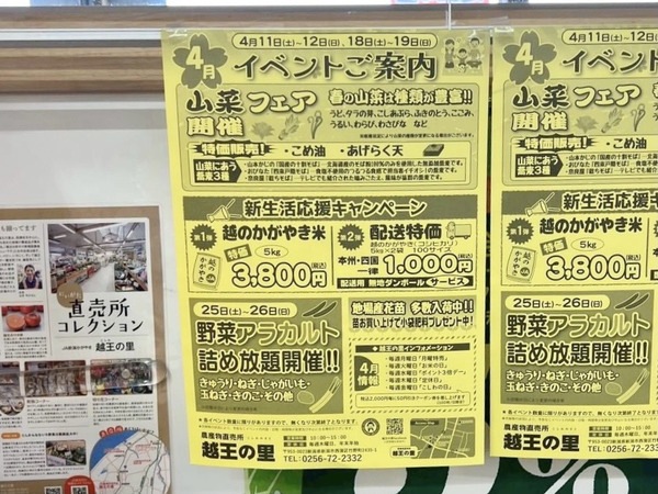 野菜アラカルト詰め放題