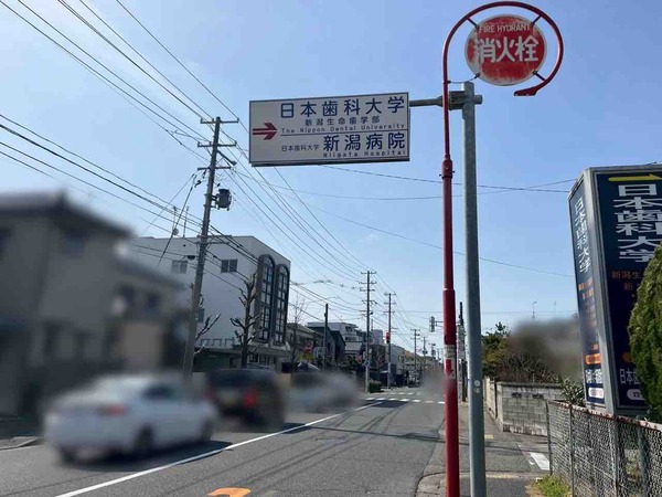 信濃町ビルヂングsoma