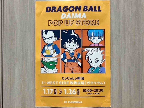 ドラゴンボールDAIMA POP UP　一番くじ POP-UP STORE