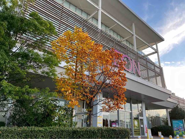 食欲の秋だよ!!ソースたこ焼き食べ放題