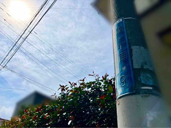 公示地価