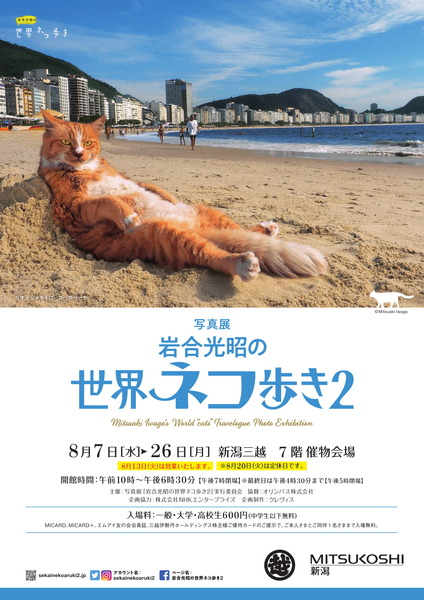 世界ネコ歩き展-1