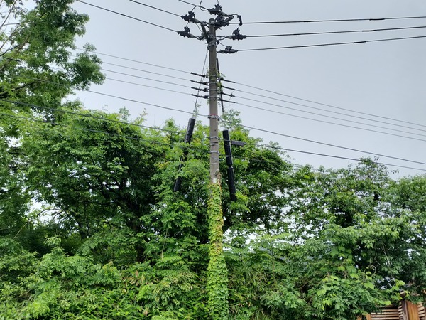親しもう電柱・投稿しよう電柱キャンペーン