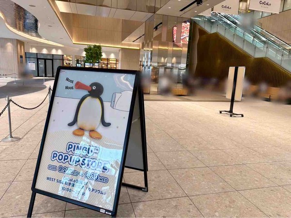 PINGU™ POP UP STORE