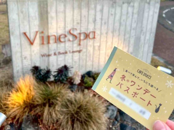 冬のワンデーパスポート