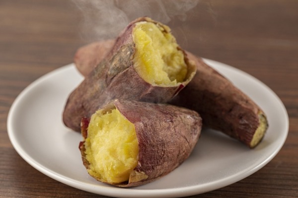 にいがた犬の陣×猫の陣