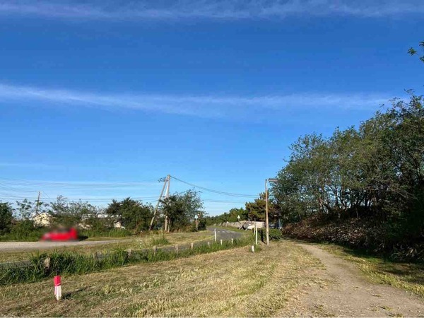 海辺の森アートフェスティバル×にいがた木の祭典2025