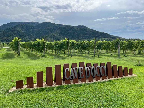 ワインフェスタ 2025～新潟ワインコースト巡り～（Wine Festa）