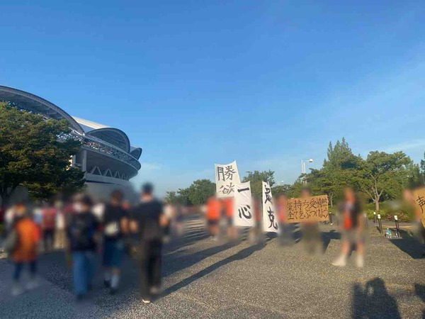 アルビレックス新潟