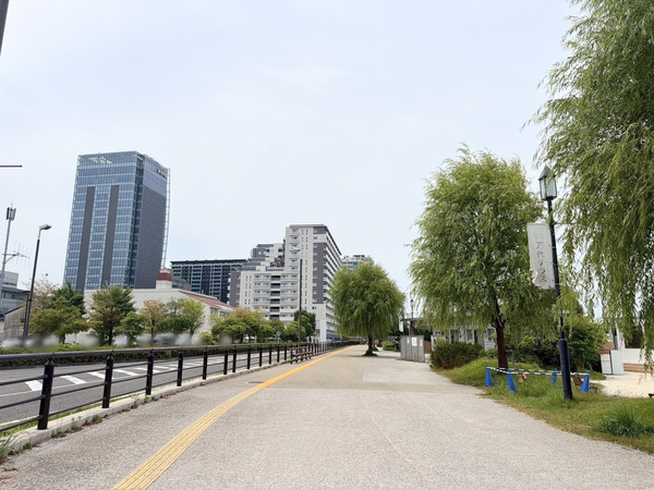 ひだか農園 朝採りとうもろこし直売会