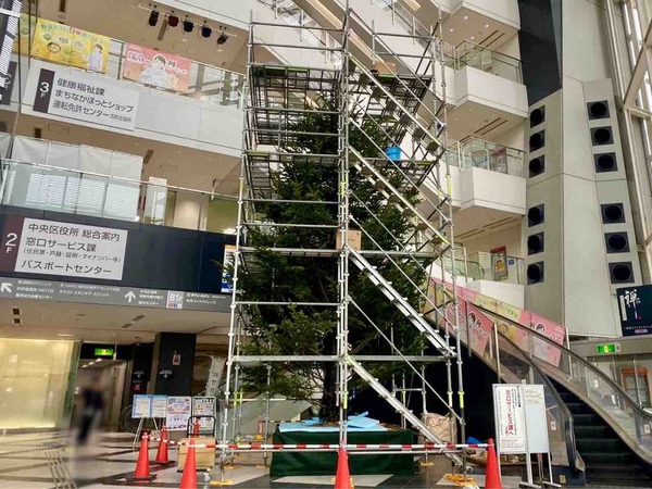 NEXT21 クリスマスツリー展示