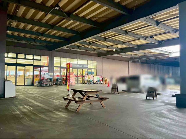 馬がやって来る!