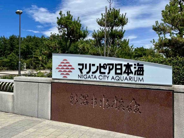 Googleマップ20周年 47都道府県の人気の場所TOP5