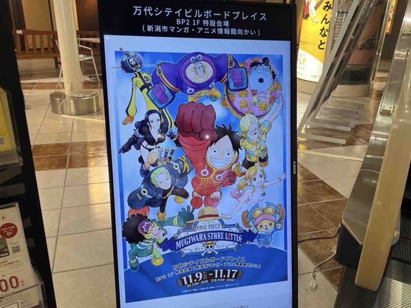 出張店 ONE PIECE 麦わらストア LITTLE 新潟