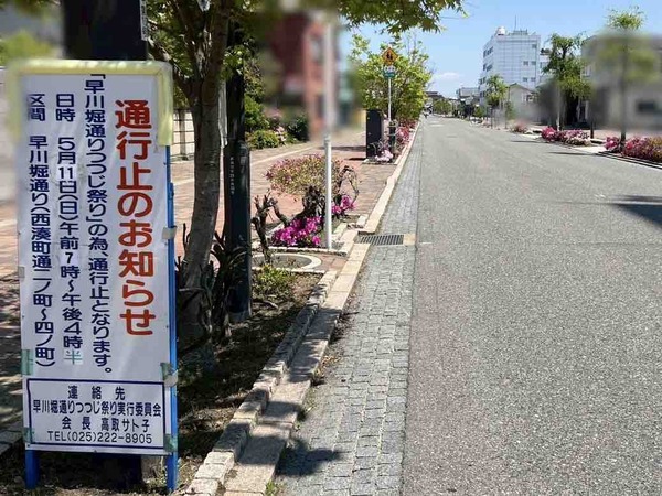 第17回 新潟下町・早川堀通りつつじ祭り
