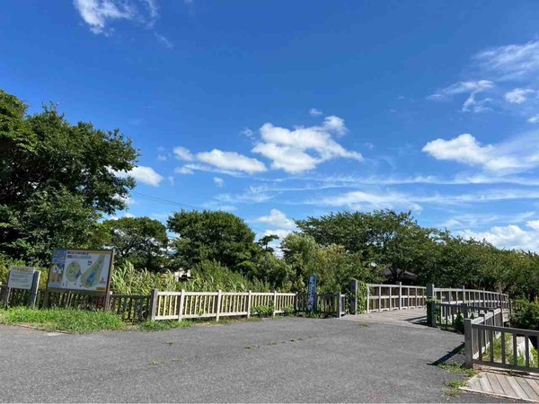 佐潟公園 佐潟まつり