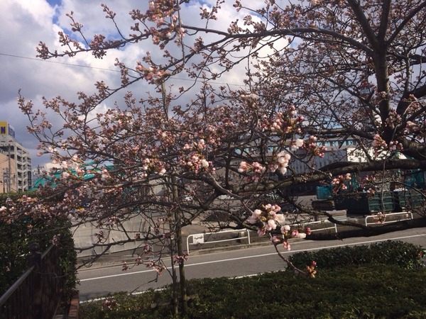 2014-04-06-16-04-55