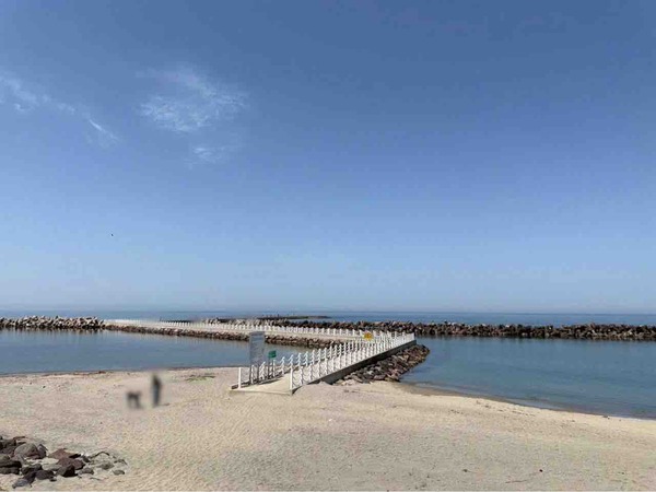 新潟港海岸（西海岸地区）　突堤
