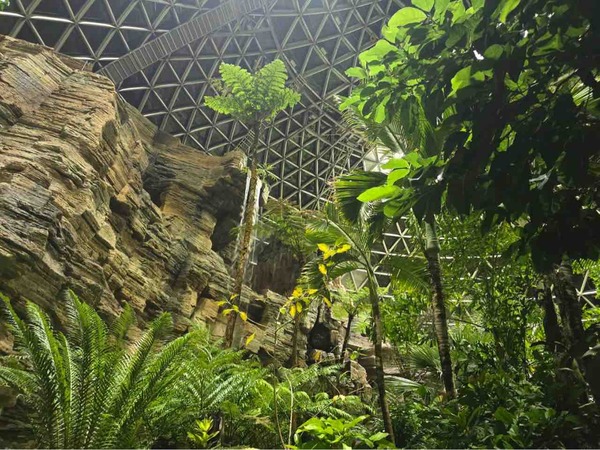 植物園開園記念 入館無料DAY