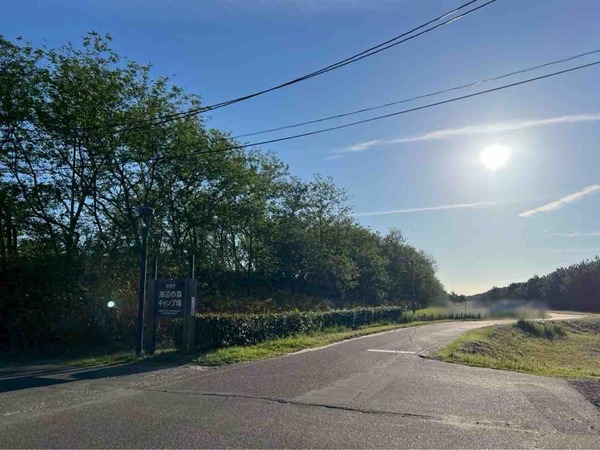 海辺の森アートフェスティバル×にいがた木の祭典2025