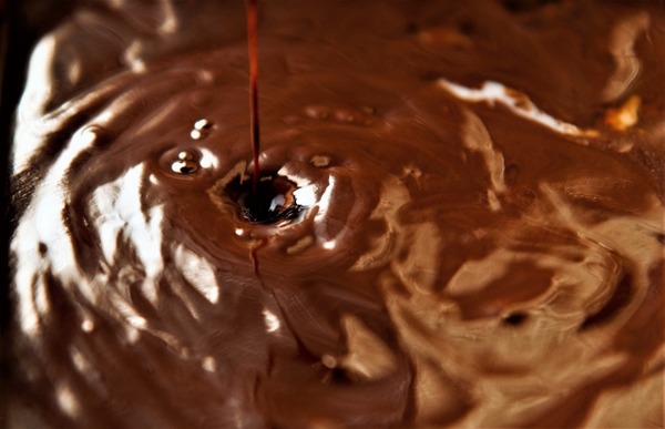 チョコレート風呂 我が家の愛猫自慢風呂