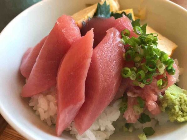 maguro