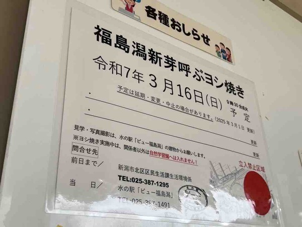 福島潟 新芽呼ぶヨシ焼き