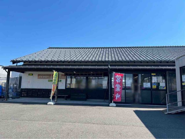 Sun Flower Fes2025