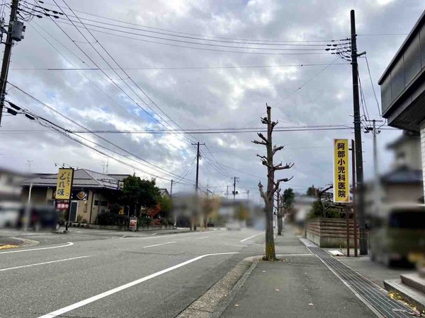 とんかつ どれ味