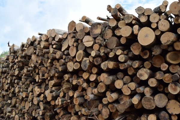 急傾斜地 伐採木 無償譲渡