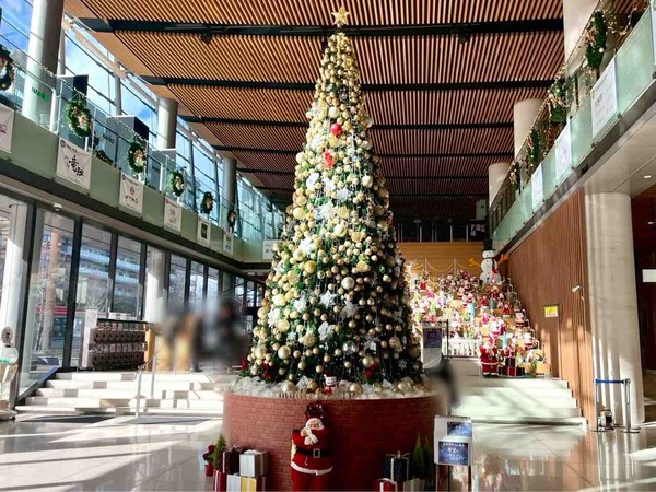 NIIGATA NIPPO×Christmas Aimer marché