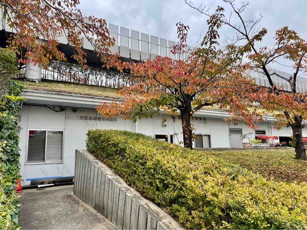 白山公園駐車場 落ち葉プレゼント