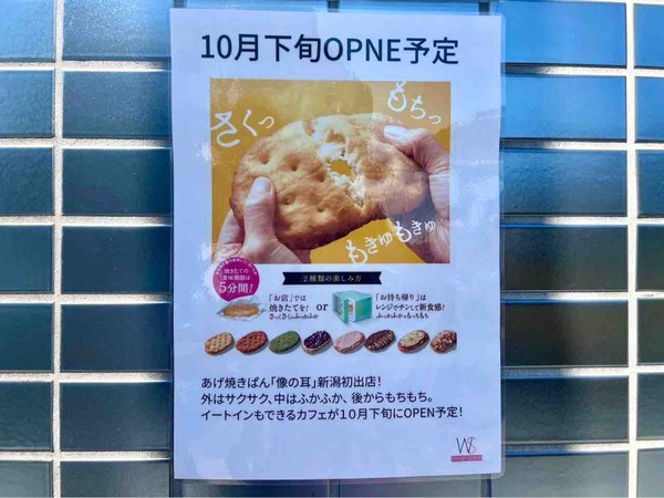 象の耳7