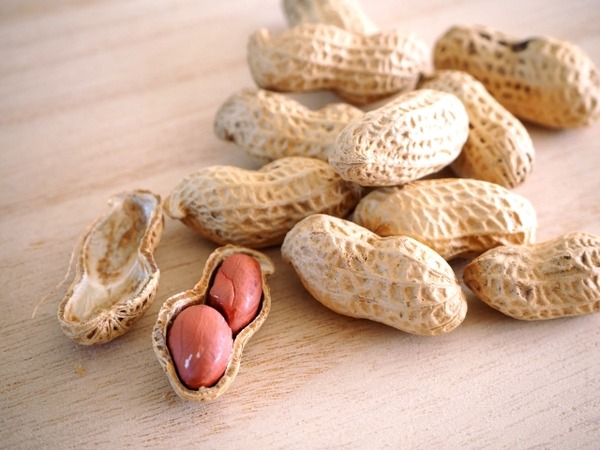 落花生詰め放題