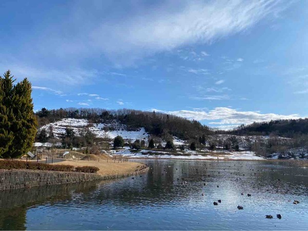 新潟市 イベント 3月
