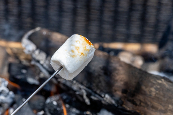 野きろの杜 街びらきイベント