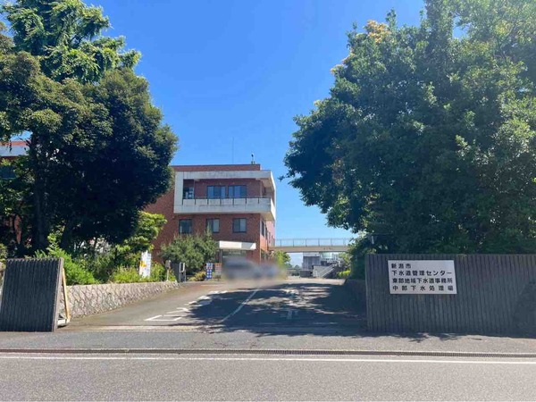 工事の伐採木 中部下水処理場