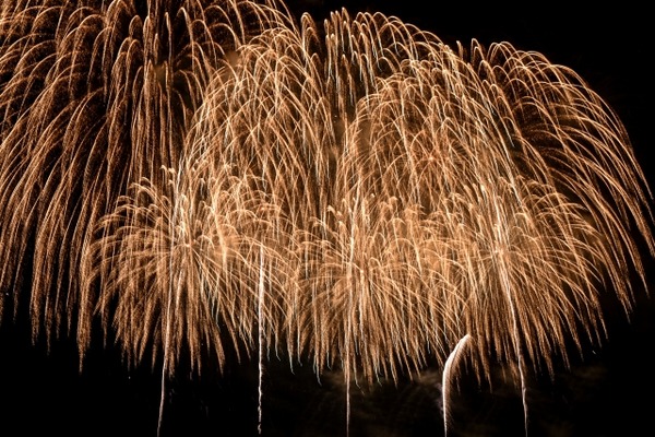 阿賀野川 あきはなびまつり2025