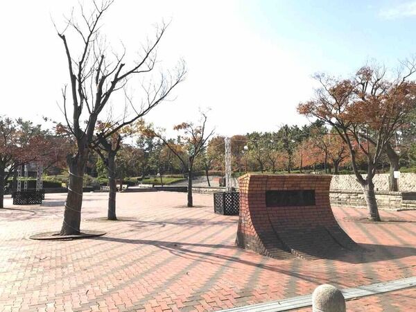 ひかり