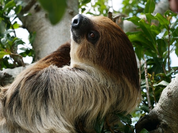 リトルモンスター展 「うゎっ」と「ぅわぁ～」のいきものたち