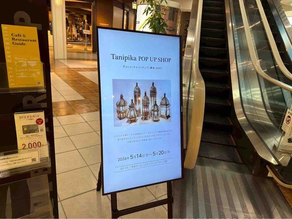 Tanipika POP UP SHOP